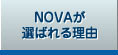 NOVA���I�΂�闝�R